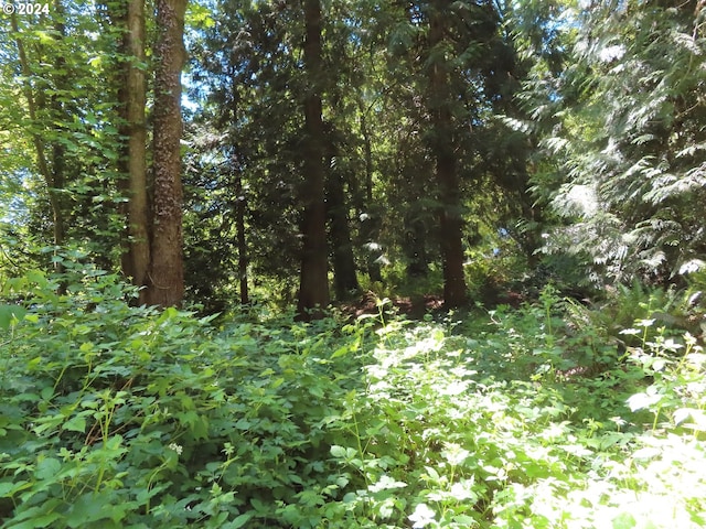 Dogwood Dr NW, Bremerton, WA 98310