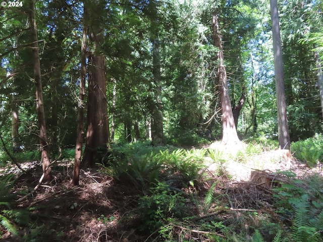 Dogwood Dr NW, Bremerton, WA 98310