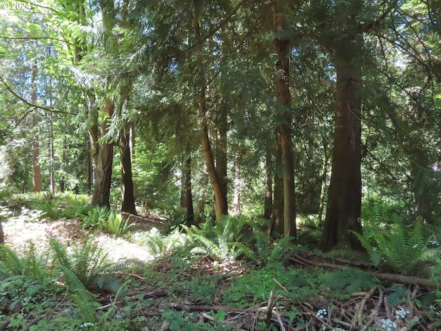 Dogwood Dr NW, Bremerton, WA 98310
