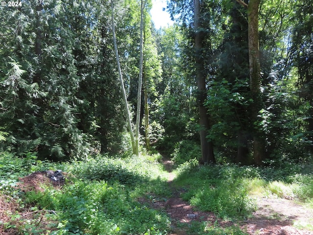 Dogwood Dr NW, Bremerton, WA 98310