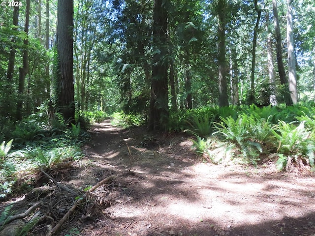 Dogwood Dr NW, Bremerton, WA 98310