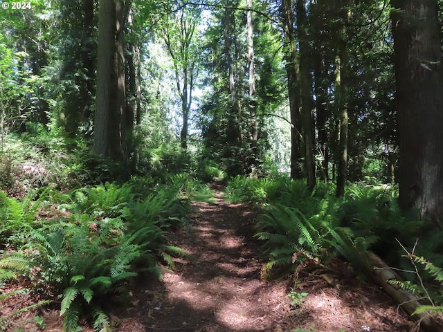 Dogwood Dr NW, Bremerton, WA 98310