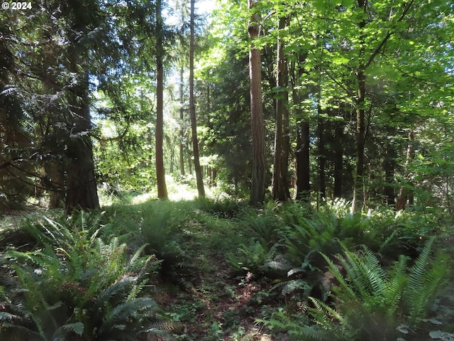 Dogwood Dr NW, Bremerton, WA 98310