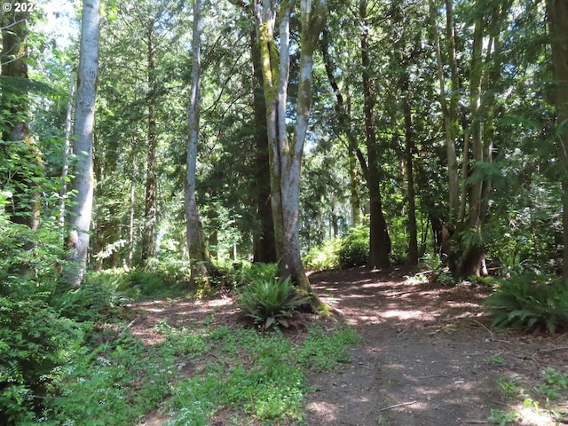 Dogwood Dr NW, Bremerton, WA 98310
