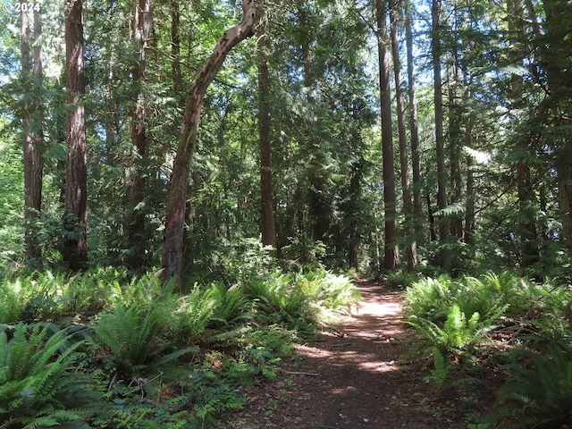 Dogwood Dr NW, Bremerton, WA 98310