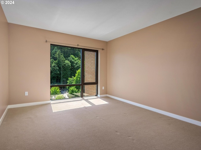 view of carpeted spare room