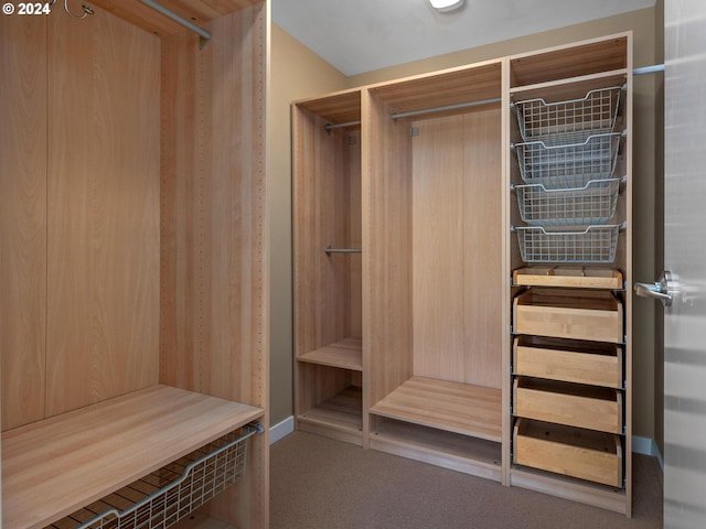 spacious closet with carpet floors