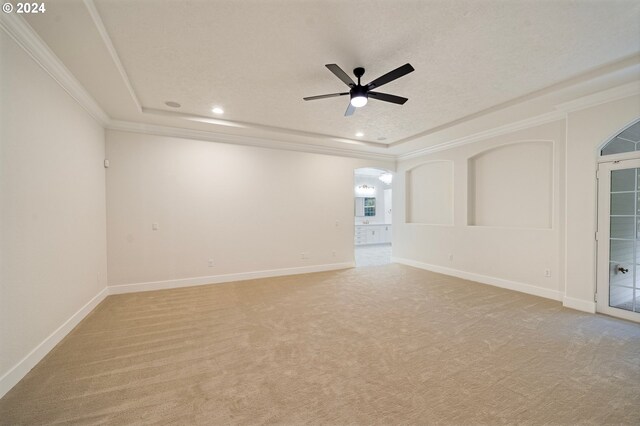 spare room featuring light carpet, a raised ceiling, and ornamental molding