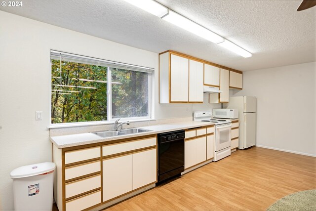 kitchen with light wood finished floors, under cabinet range hood, light countertops, white appliances, and a sink