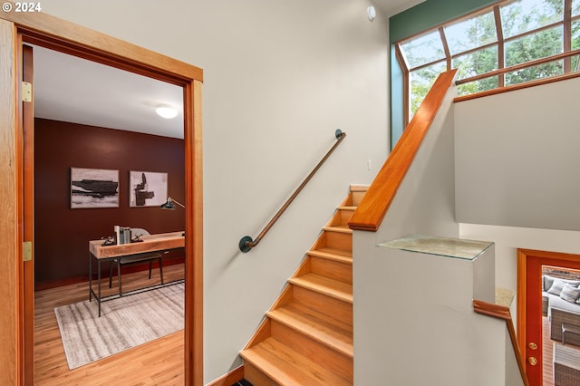 stairs featuring wood-type flooring