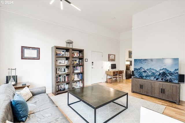 living room featuring light wood-type flooring