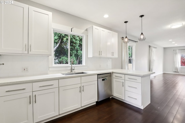 kitchen featuring dark hardwood / wood-style flooring, stainless steel dishwasher, a healthy amount of sunlight, and sink