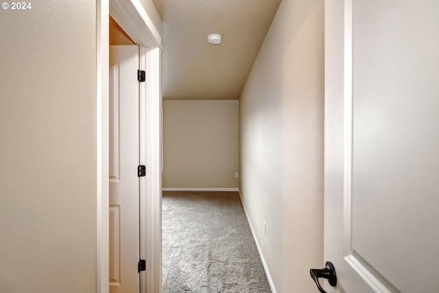 hallway featuring carpet flooring