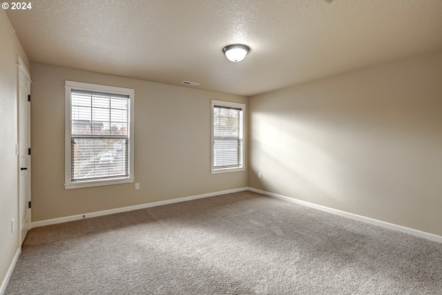 spare room with a wealth of natural light, a textured ceiling, and carpet flooring