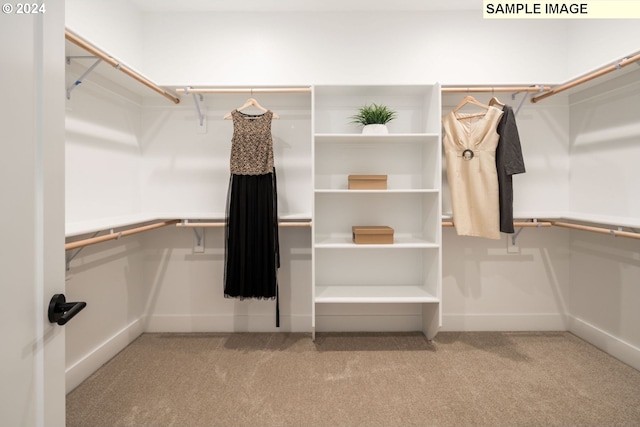 spacious closet with light colored carpet