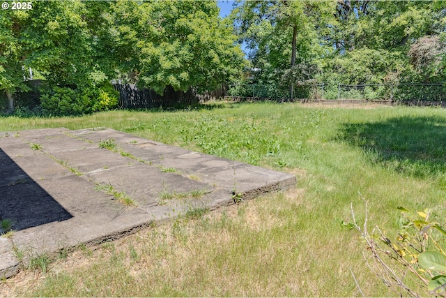 3973 Carnes Rd, Roseburg, OR 97471 - view of yard