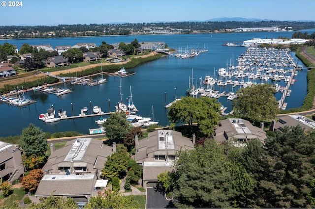 birds eye view of property featuring a water view