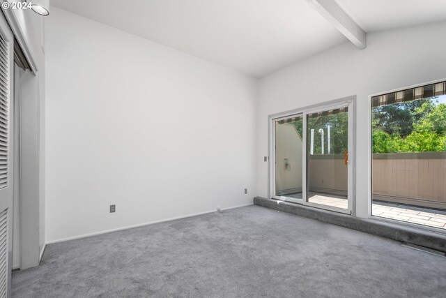 carpeted spare room featuring lofted ceiling with skylight