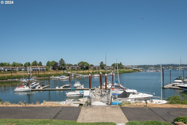 dock area with a water view