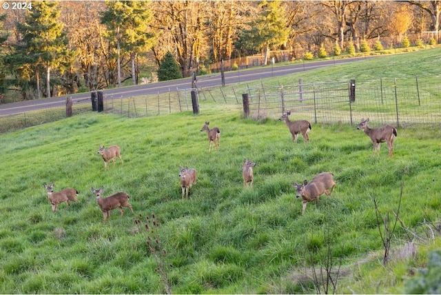 10685 Oak Dr SE, Salem, OR 97306 - view of yard featuring fence and a rural view