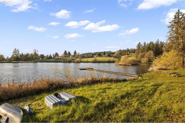 10685 Oak Dr SE, Salem, OR 97306 - property view of water