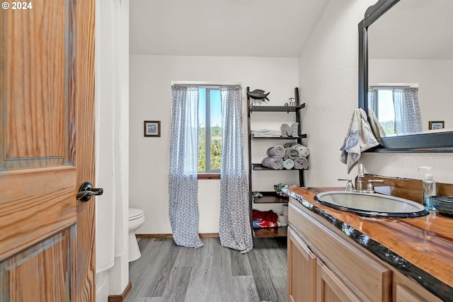 bathroom with vanity, toilet, a wealth of natural light, and wood finished floors