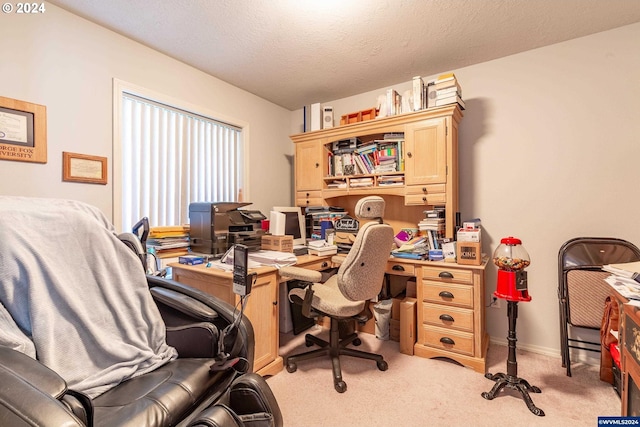 home office with light colored carpet and a textured ceiling