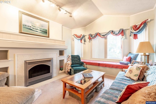 carpeted living room with a textured ceiling, rail lighting, lofted ceiling, and ornamental molding