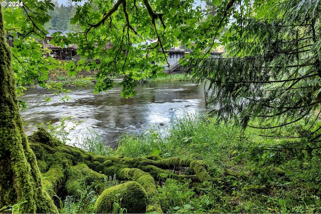 view of water feature