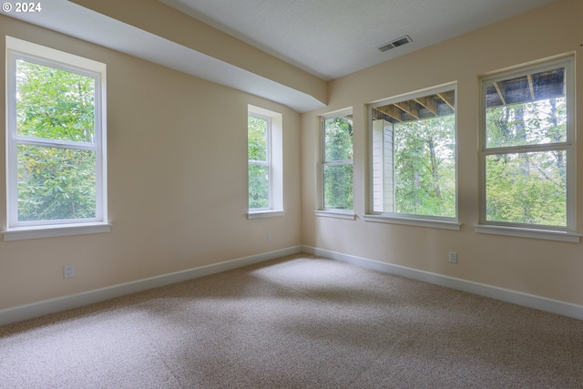 spare room with hardwood / wood-style floors