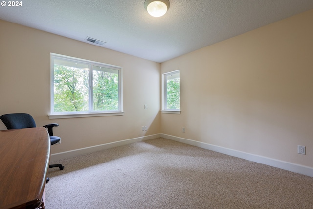 carpeted home office featuring a wealth of natural light and a textured ceiling