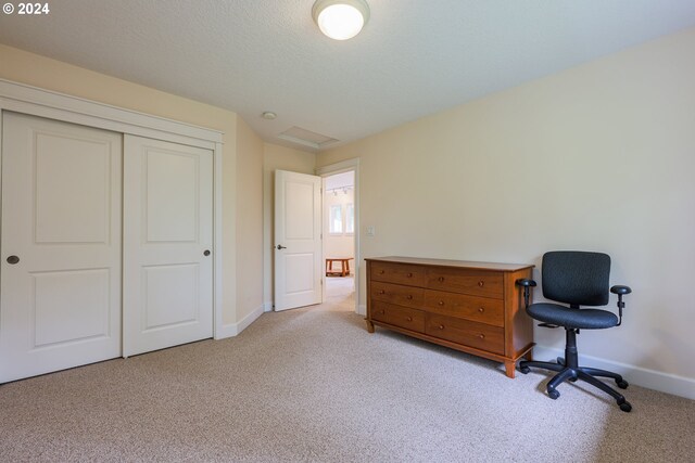 carpeted bedroom featuring a closet