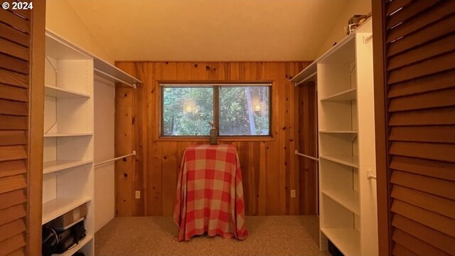 spacious closet featuring carpet flooring