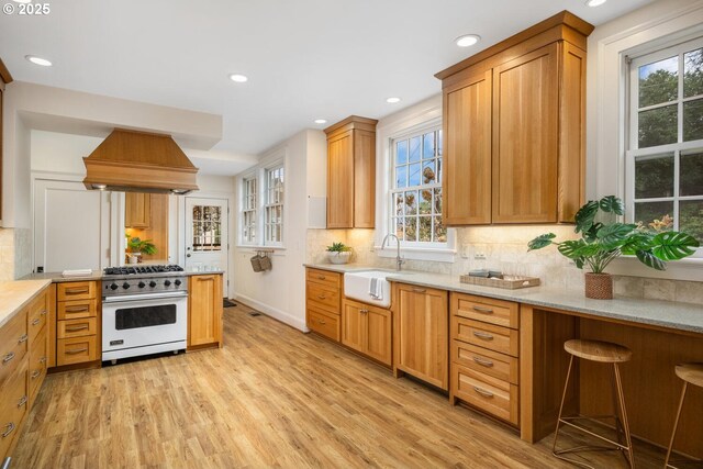 kitchen featuring light wood-type flooring, decorative backsplash, and light stone countertops