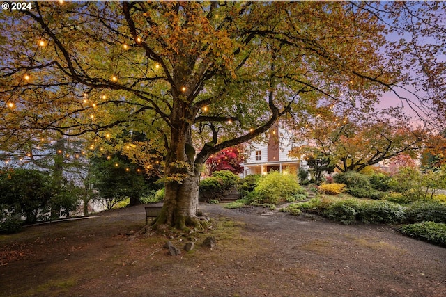 view of yard at dusk