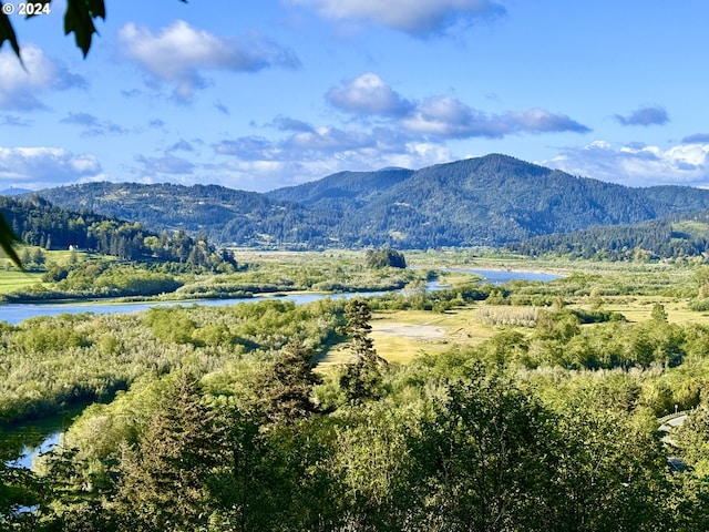 property view of mountains with a water view