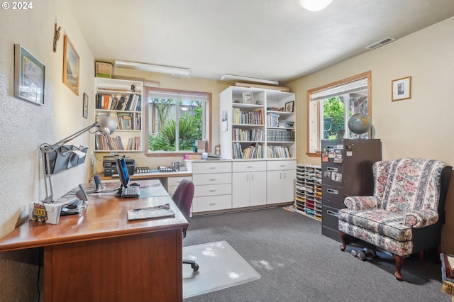 view of carpeted office space