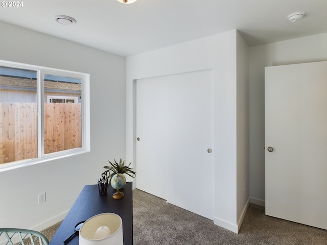 view of carpeted home office