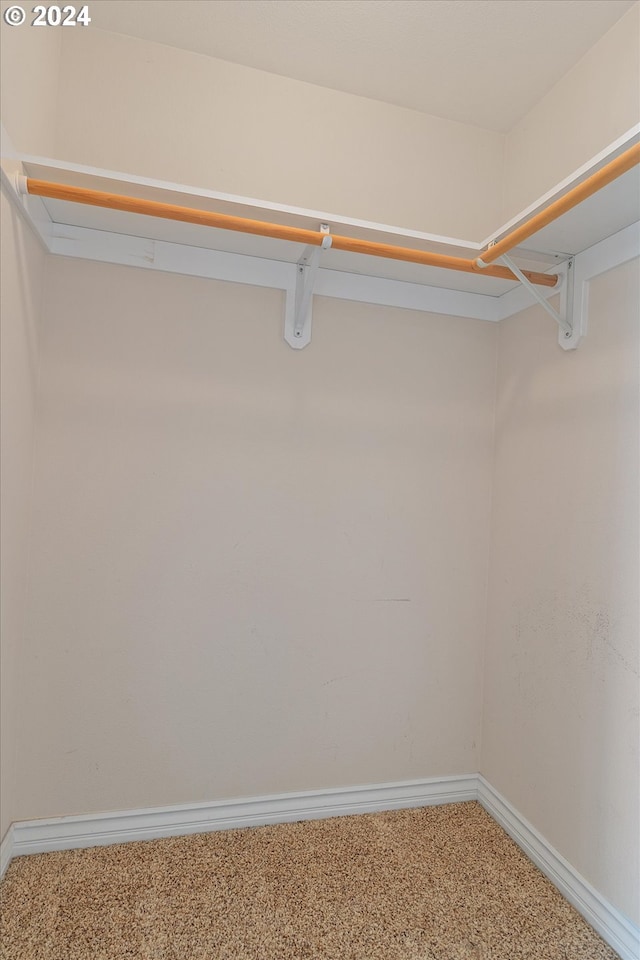 spacious closet featuring carpet