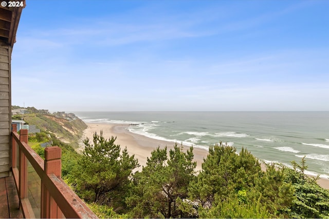 water view featuring a beach view