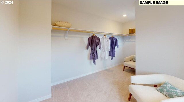 walk in closet with light carpet