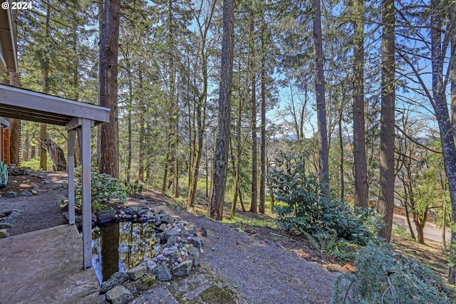 view of yard featuring a patio area