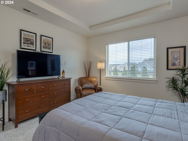 carpeted bedroom featuring a raised ceiling