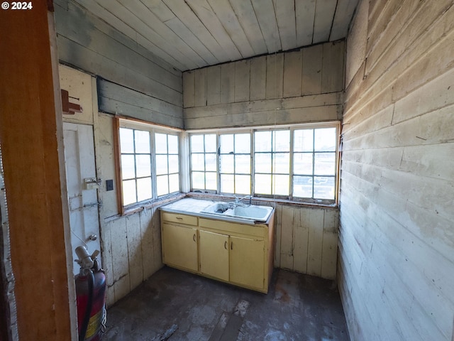 interior space featuring cream cabinetry, plenty of natural light, sink, and wooden walls