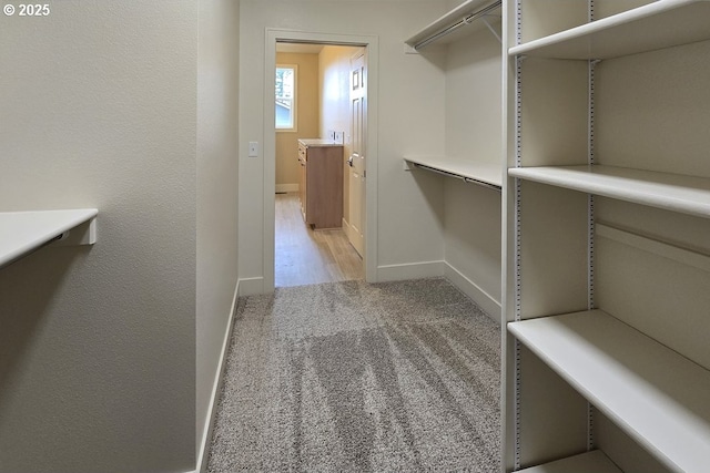 3404 River Heights Dr, Springfield, OR 97477 - walk in closet featuring light carpet