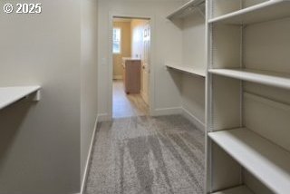 3404 River Heights Dr, Springfield, OR 97477 - spacious closet with carpet floors