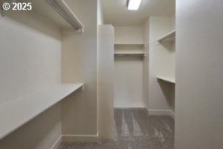 3404 River Heights Dr, Springfield, OR 97477 - walk in closet featuring carpet