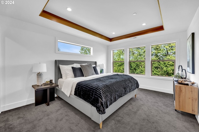 carpeted bedroom featuring a raised ceiling