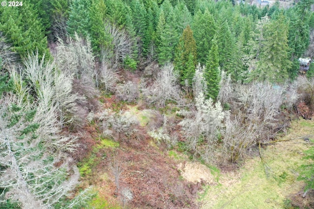 6th Ave, Vernonia OR, 97064 land for sale