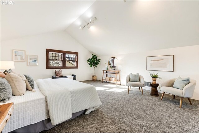 living area featuring carpet, lofted ceiling, and rail lighting